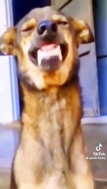 Here are a few funny video upload title ideas:  1. "When Life Gives You Lemons... Watch This!" 2. "Epic Fails and LOLs: You've Been Warned!" 3. "Proof That Laughter Is Contagious" 4. "Try Not to Laugh (But You Totally Will)" 5. "I Can't Believe This Happe