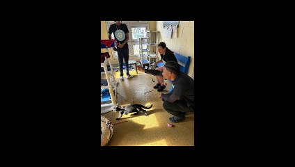 Paws On Death Row Donates To Animal Shelter