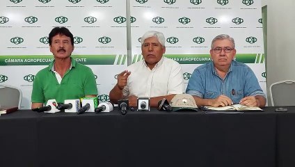 Algodoneros se suman al pedido de biotecnología: Sembrábamos 60.000 hectáreas y ahora solo 2.000