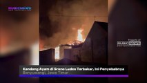 Kandang Ayam di Srono Banyuwangi Ludes Terbakar, Ternyata Ini Penyebabnya Usai Dilakukan Proses Pemadaman