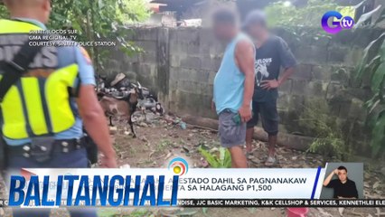 20-anyos na lalaki, arestado dahil sa pagnanakaw ng kambing na ibinenta sa halagang P1,500 | Balitanghali
