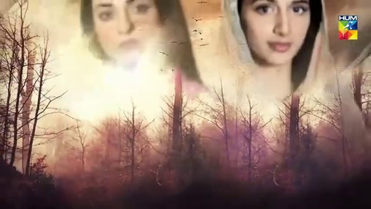 Sabaat Episode 6 | English Sub | Digitally Presented by Master Paints | HUM TV Drama | 3 May 2020