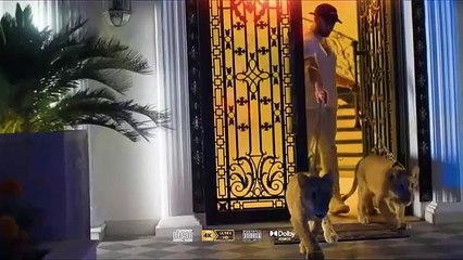 Punjabi Nonstop Mashup 🎶