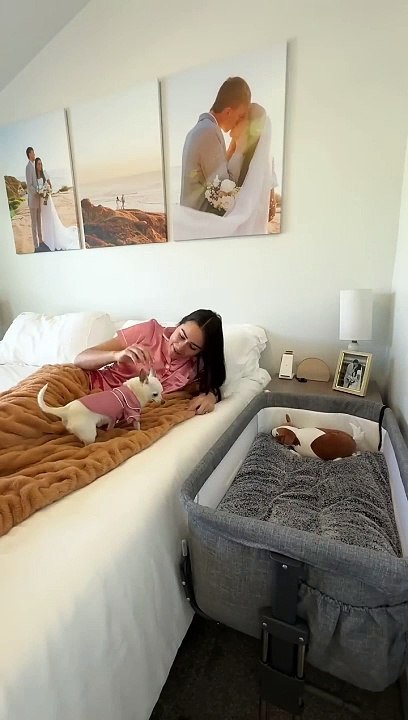 Remi’s_starting_to_get_a_hang_of_his_morning_routine(