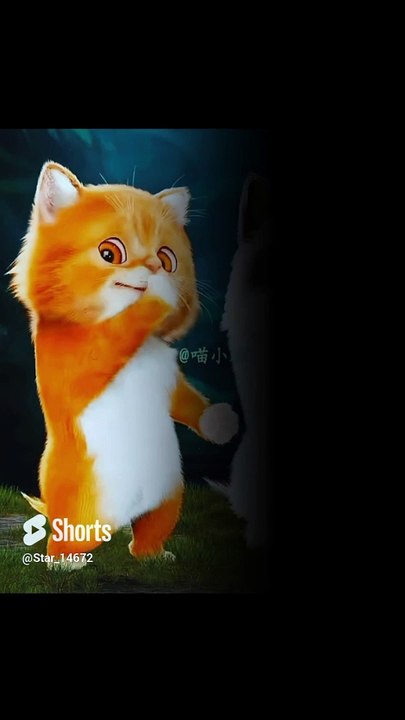 twin ca t dance #youtube #shorts #vira #dance #twins #lover l @Star_14672 #0023