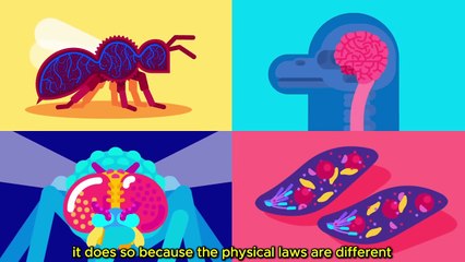 What Happens If We Throw an Elephant From a Skyscraper? Life & Size 1