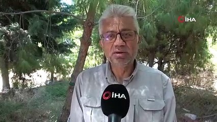 Çanakkale'deki 2 bin yıllık antik göl pembe renge büründü