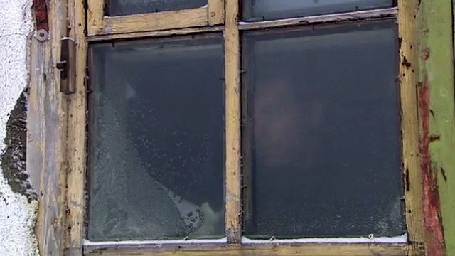 Polar Bears A Close Encounter Of Survival In The Arctic Polar Bear Documentary