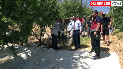 Adıyaman'da badem hasadı başladı