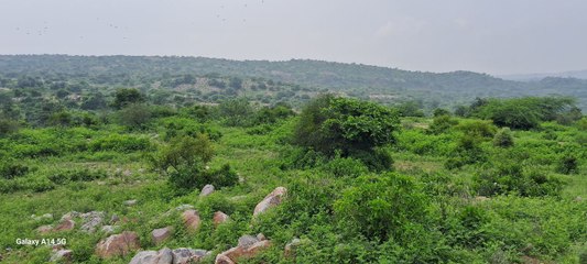 सारेकलां का दुर्गम पहाड़; जहां आतंकियों ने बनाया था अपना ठिकाना... देखें ये वीडियो