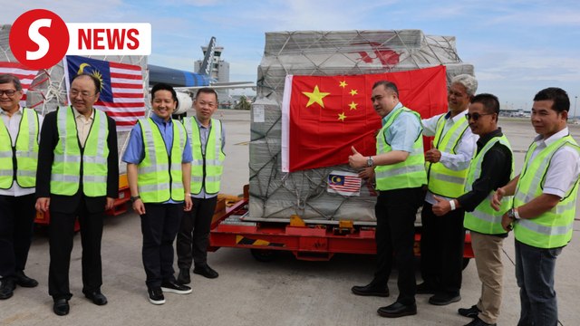 Malaysia begins exporting fresh durians to China today