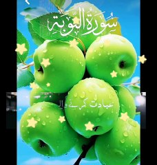 Islmic vedio#hadeesshrif#emosional word # qurni ayay