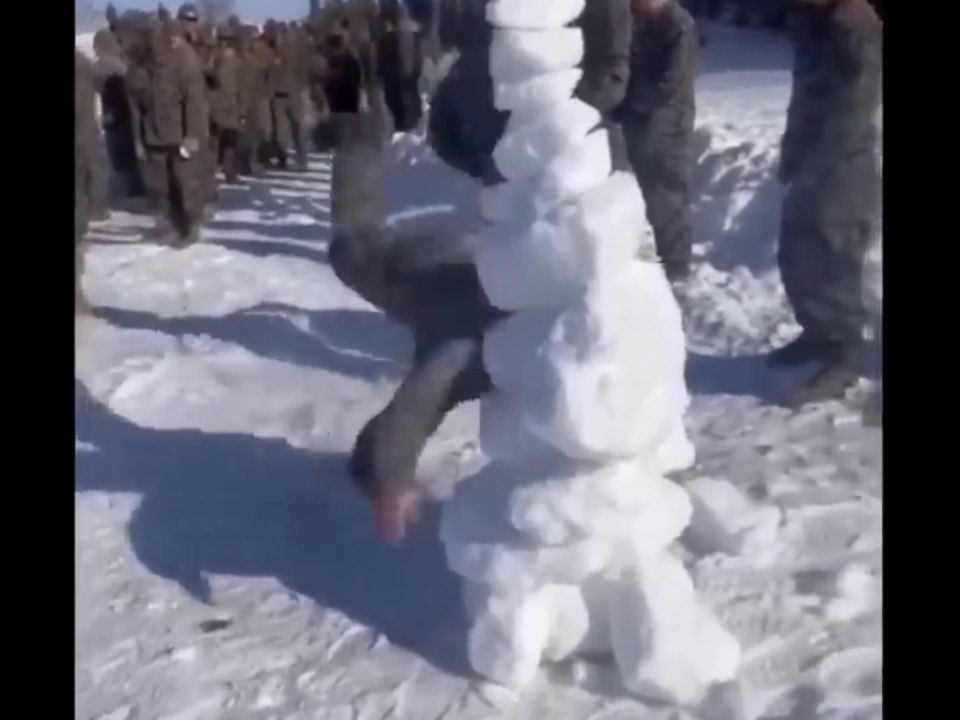 funny animals 04.