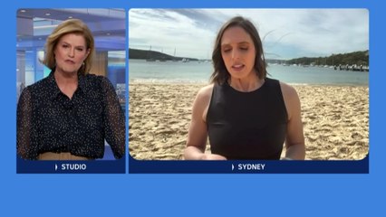 Whale freed in Sydney Harbour