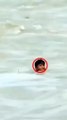 ডুবে যাওয়া থেকে রক্ষা পেল বাংলাদেশি ছেলে.Bangladeshi boy saved from drowning.