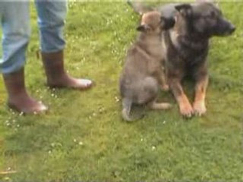 Doly le 1er jour
