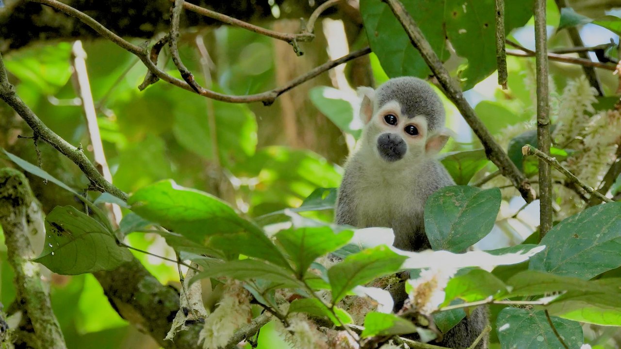 Merveilles de la nature 2021