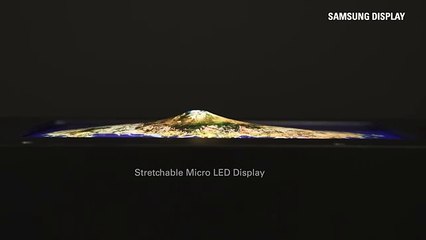 [IMID 2024] Stretchable Display SAMSUNG