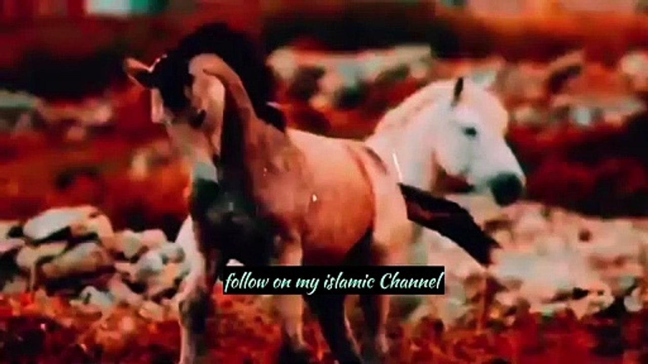 #islamic videos