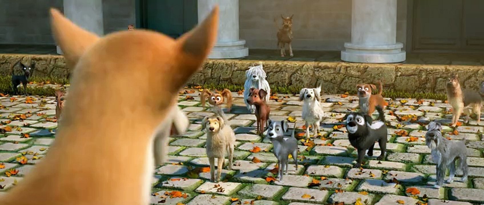 Köpekler Firarda Dublajlı Fragman