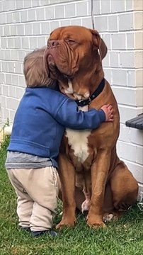 Heartwarming+Moment+as+Child+Embraces+Dog+Companion