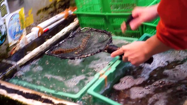 Best Sushi in Japan - Tsukiji Fish Market to $300 HIGH-END SUSHI in Tokyo! - Japanese Food