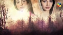 Sabaat Episode 7 | Eng Sub | Digitally Presented by Master Paints | Digitally Powered by Dalda