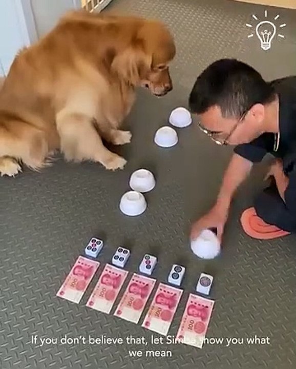 Funny and entertainment