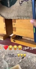https://tn.ai/2953707 تشخیص عسل طبیعی از تقلبی
