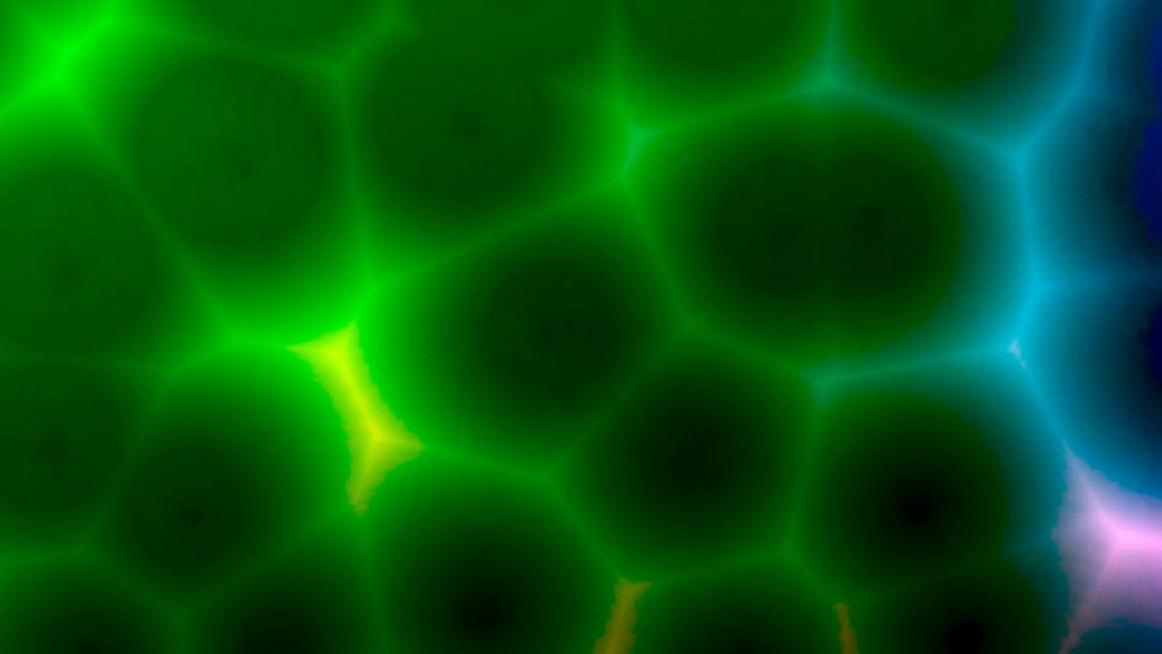 118113-713841426_small