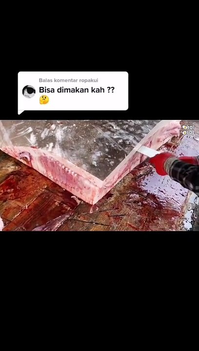 Monster yang pernah didapat..!!!