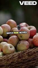 Elevate Your Filmmaking with Dingoo