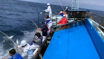 Lihat Bagaimana nelayan memancing!!!