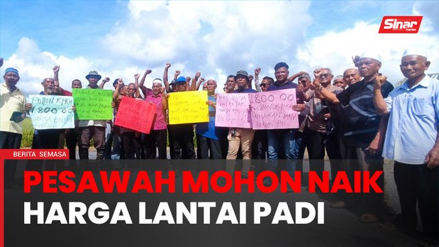 Pesawah mohon harga lantai belian padi dinaikkan RM1,800 per tan