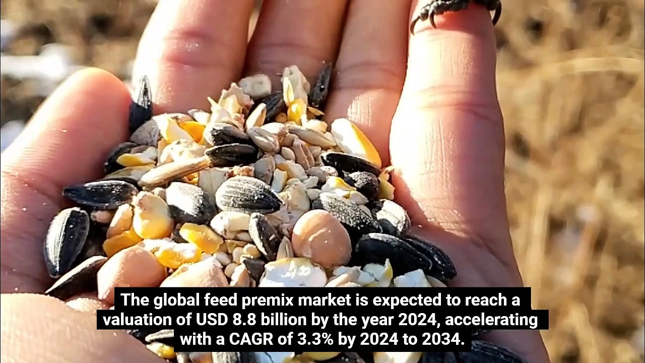 Feed Premix Market Size, Share, Growth & Analysis 2034 | FMI
