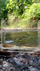 Ngopi dulu gesss... sebelum mancing...