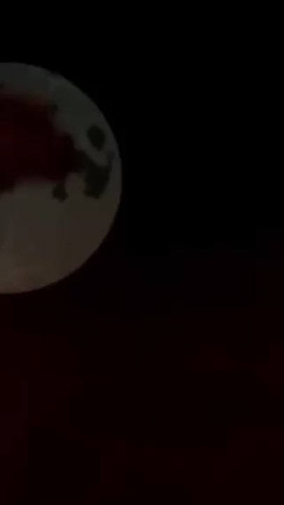 Le meilleur dessin animé Batman 