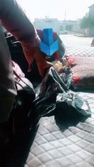 Umbrella Academy Cast & Fun Food Art 🍽️