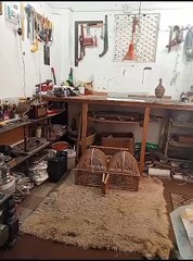 PIT BIRD,,, Here is a pair of birds it is a pit birds