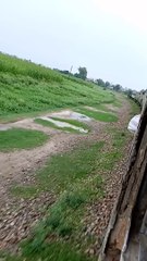 Asia train rail like africa train