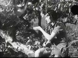 Tarzan and the Green Goddess (1935) [Action] [Adventure]