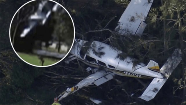 Shocking Moment as CCTV Shows Plane Slams into Trees Opposite Sydney Primary School