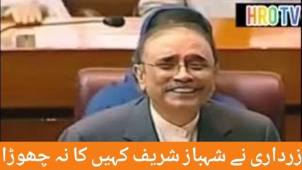زرداری نے شہباز شریف کہیں کا نہ چھوڑا