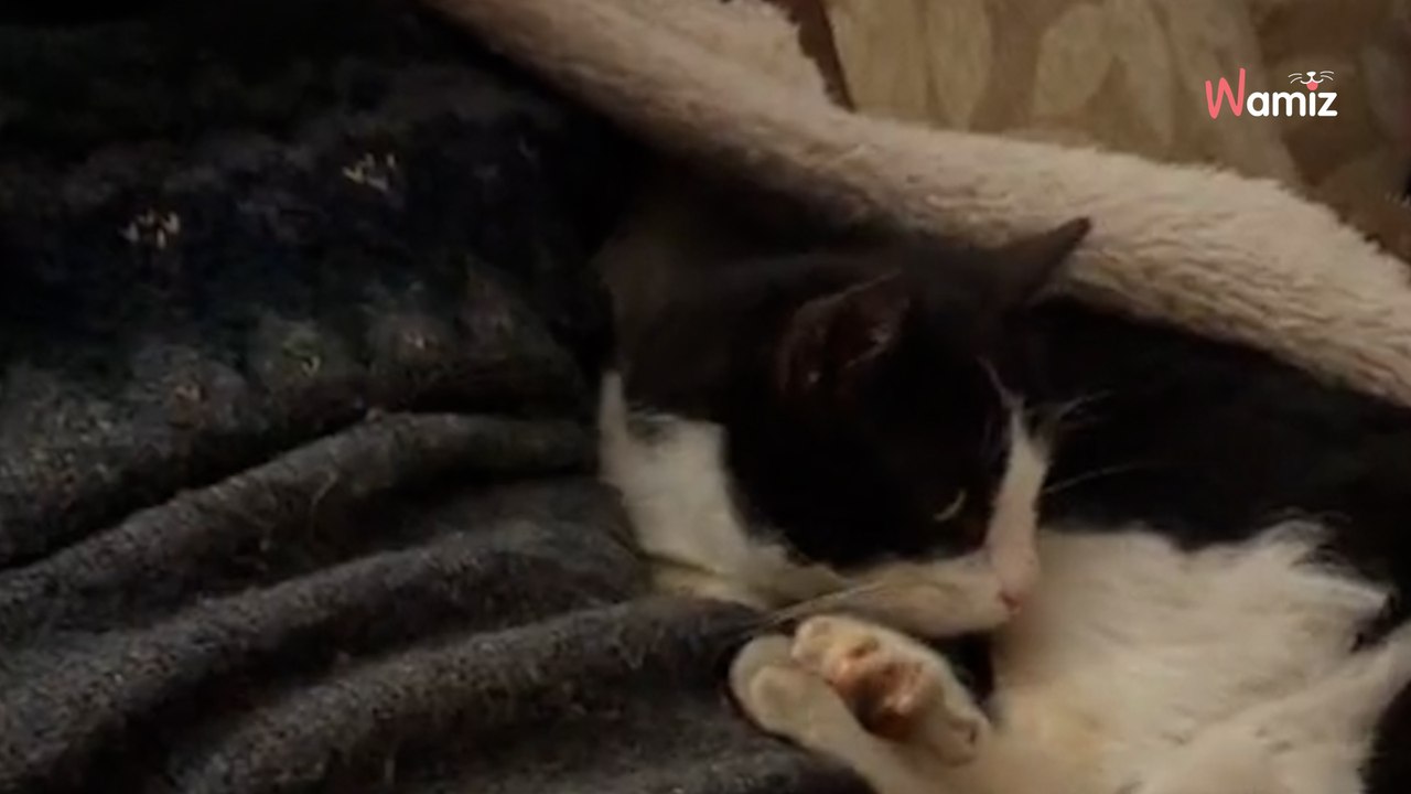 Paar verstaut Einkäufe: Als es sich umdreht und in den Rucksack schaut, bleibt ihm fast das Herz stehen