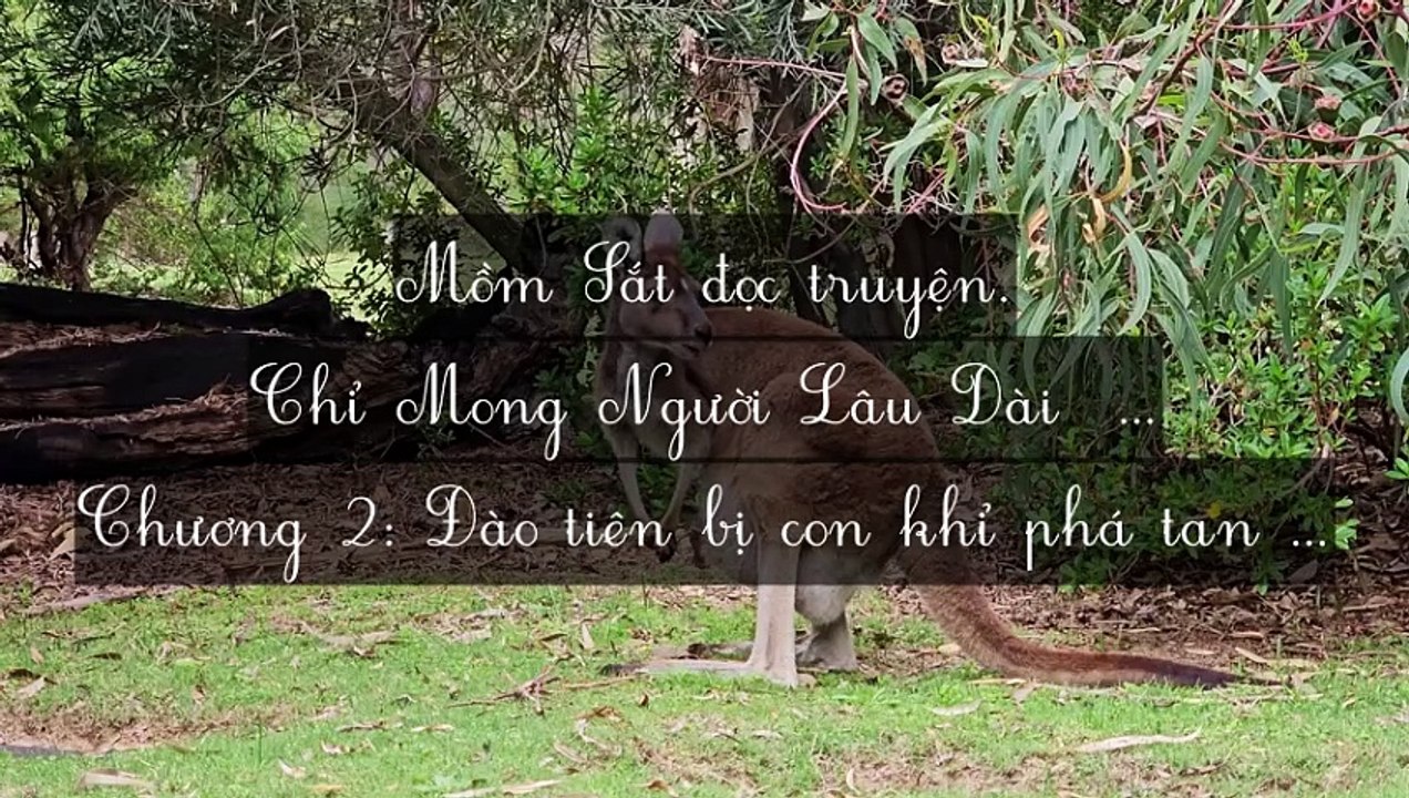 C1-C7 Chỉ Mong Người Lâu Dài