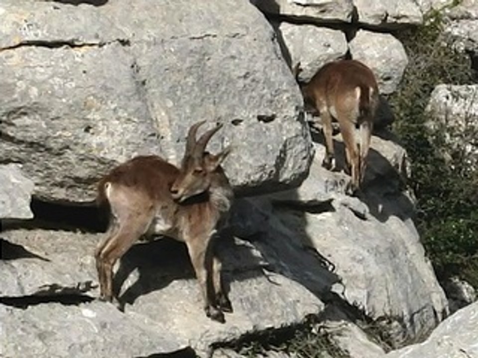 El torcal Antekera