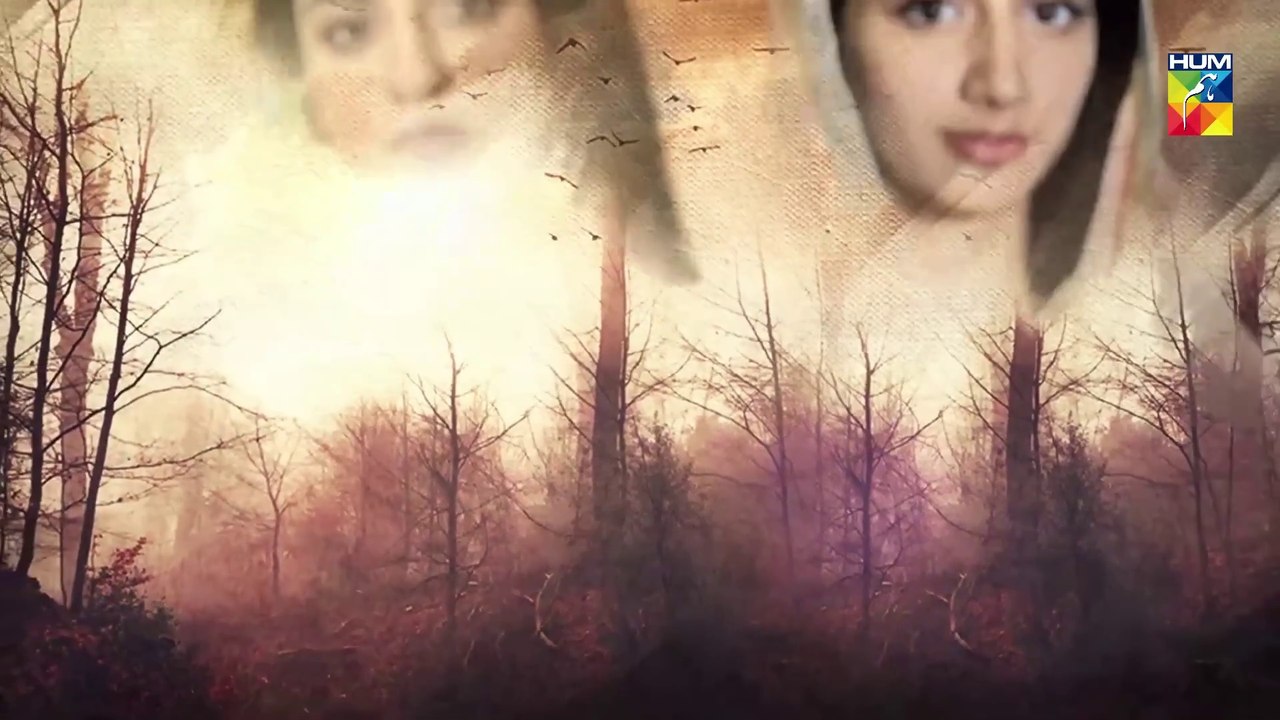Sabaat Episode 8 | Eng Sub | Digitally Presented by Master Paints | Digitally Powered by Dalda