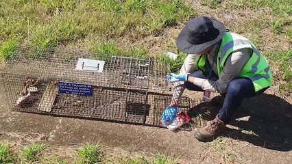 tn7-control-de-fauna-en-aeropuertos-230824