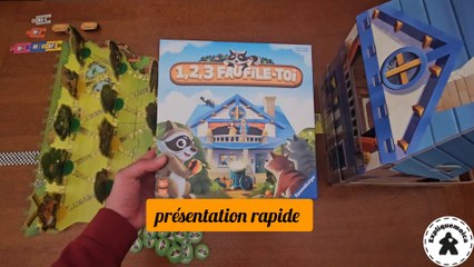 Présentation rapide de 1,2,3 FAUFILE-TOI   #ravensburger #expliquemoica
