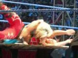 Michelle McCool Vs Victoria wrestlemania revenge valencia